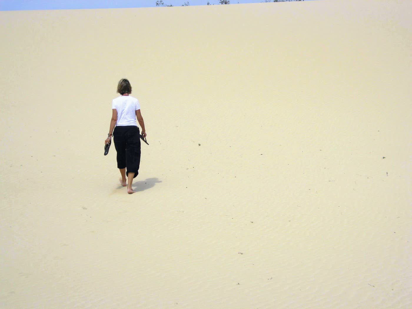 Risalendo le dune