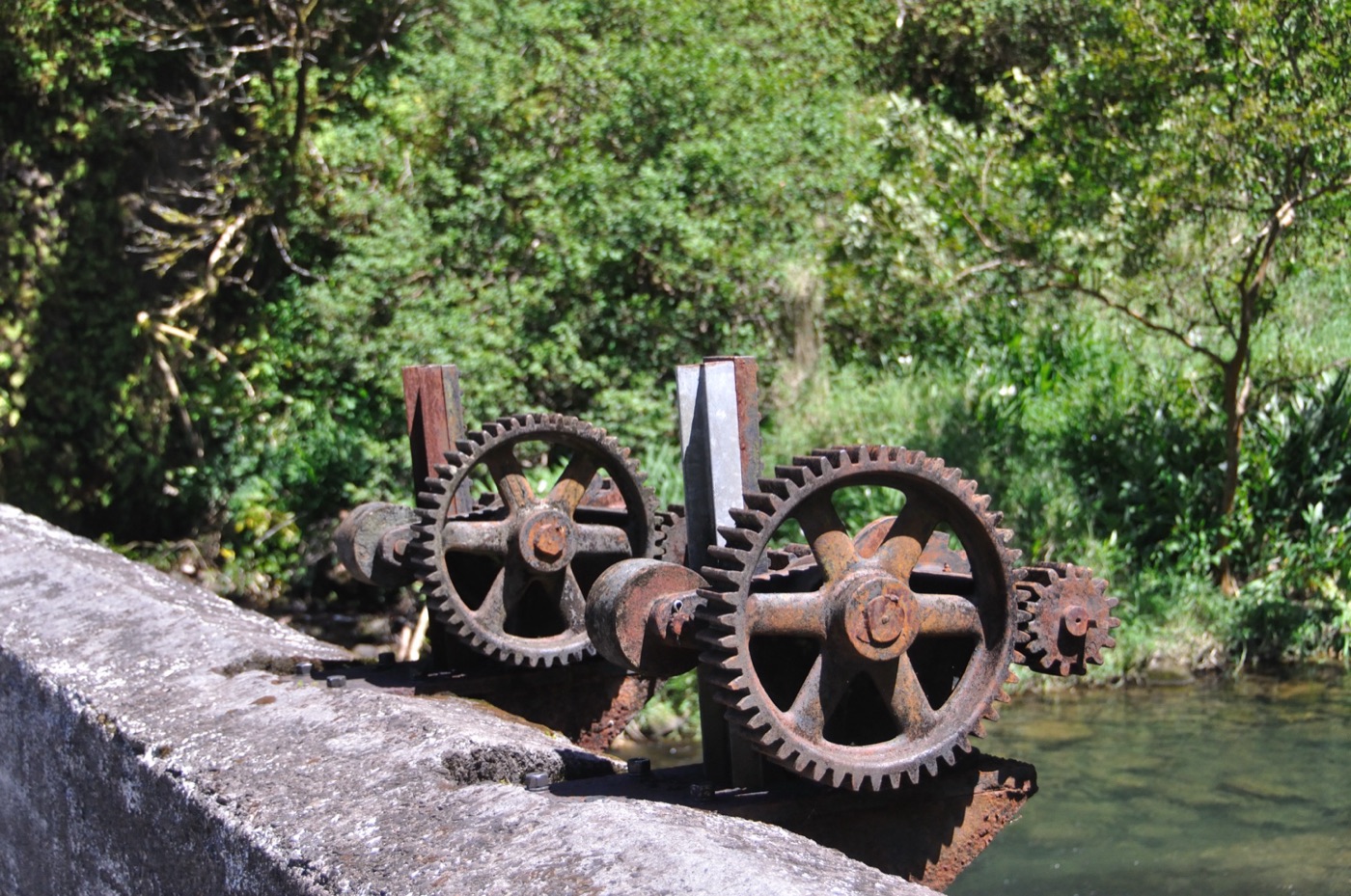 Su un ponte, un macchinario industriale di un vecchio zuccherificio (nella storica Hana Plantation). Quando l’industria zuccheriera venne progressivamente abbandonata, molti macchinari per la macinazione a vapore vennero lasciati sul posto e riassorbiti dalla vegetazione tropicale.