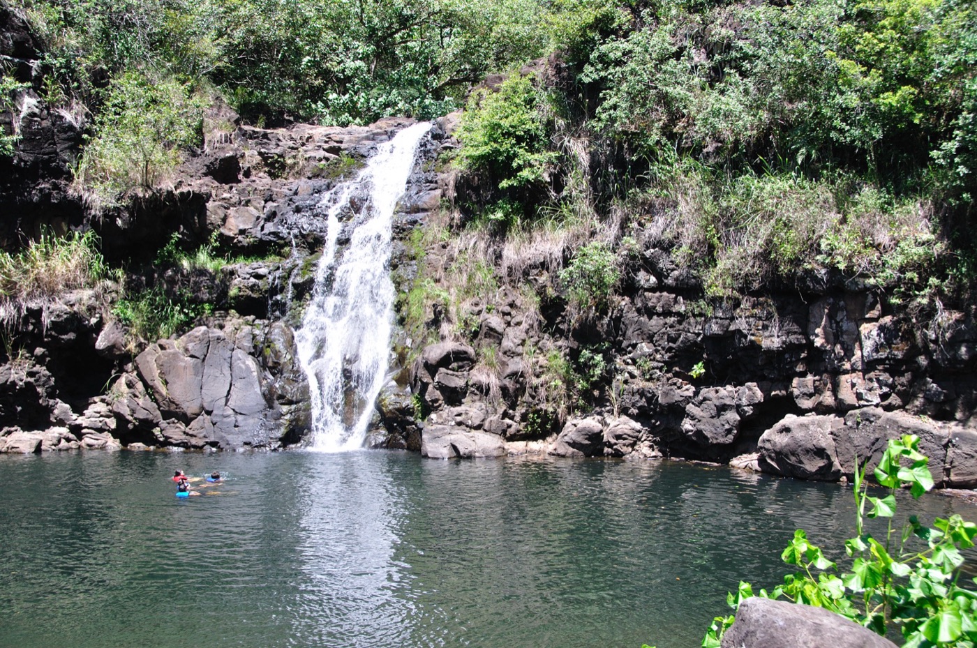 Waimea Valley