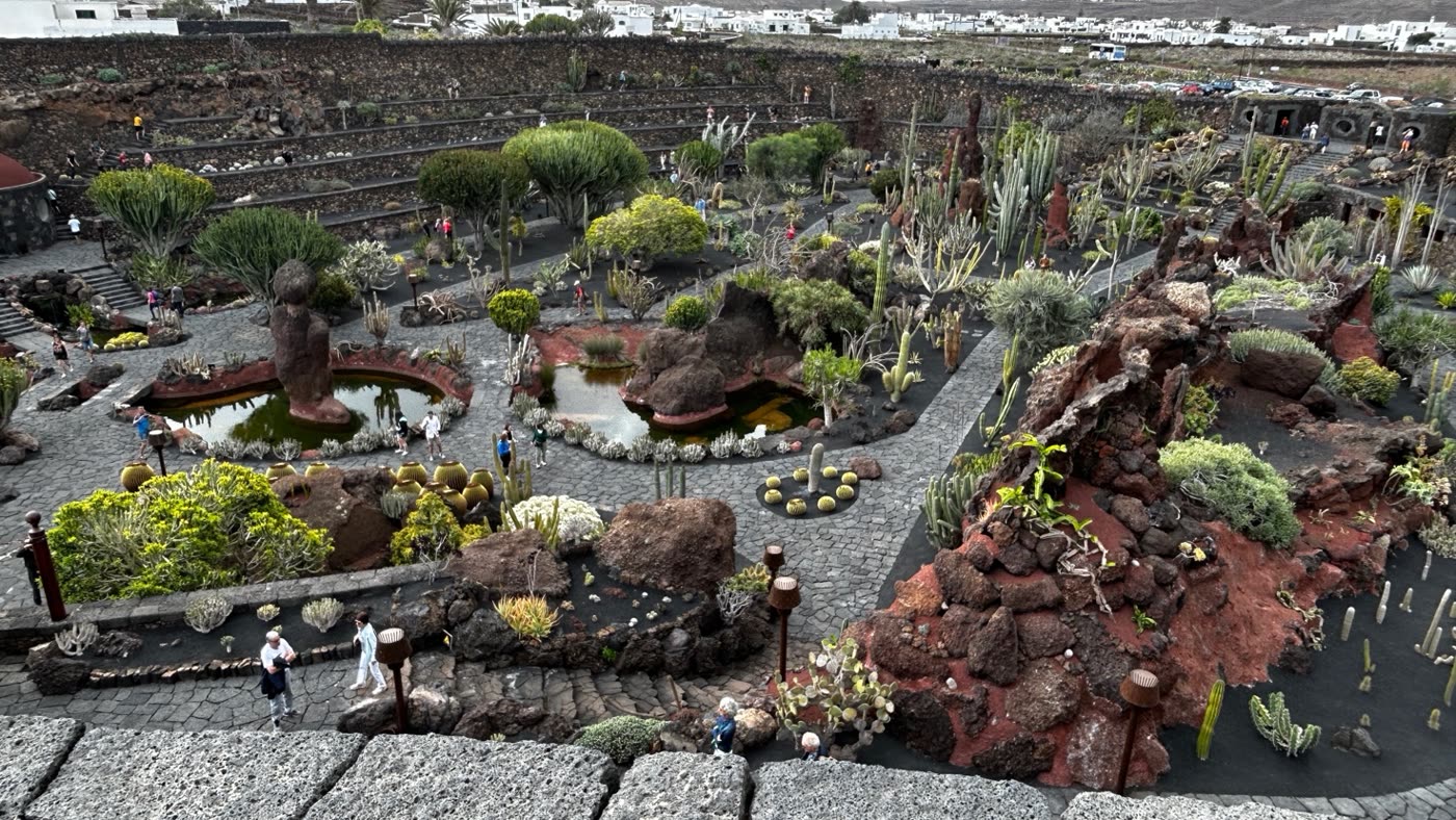 Jardin de Cactus