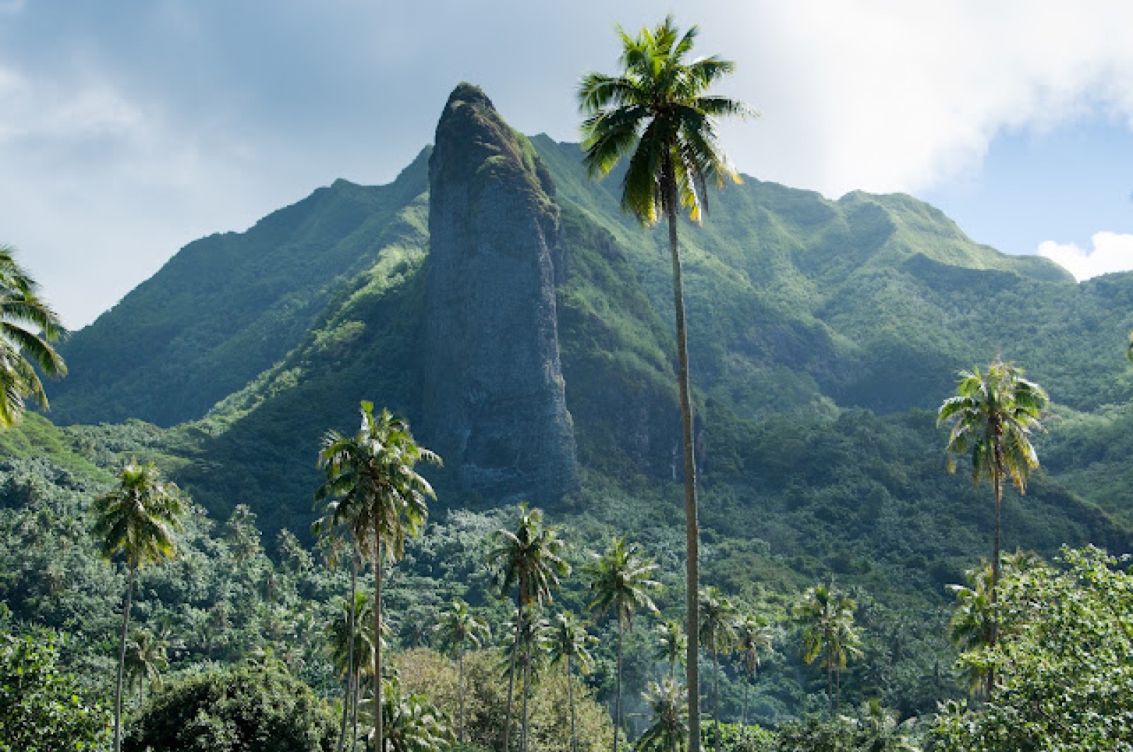 Estrusione vulcanica nel verde