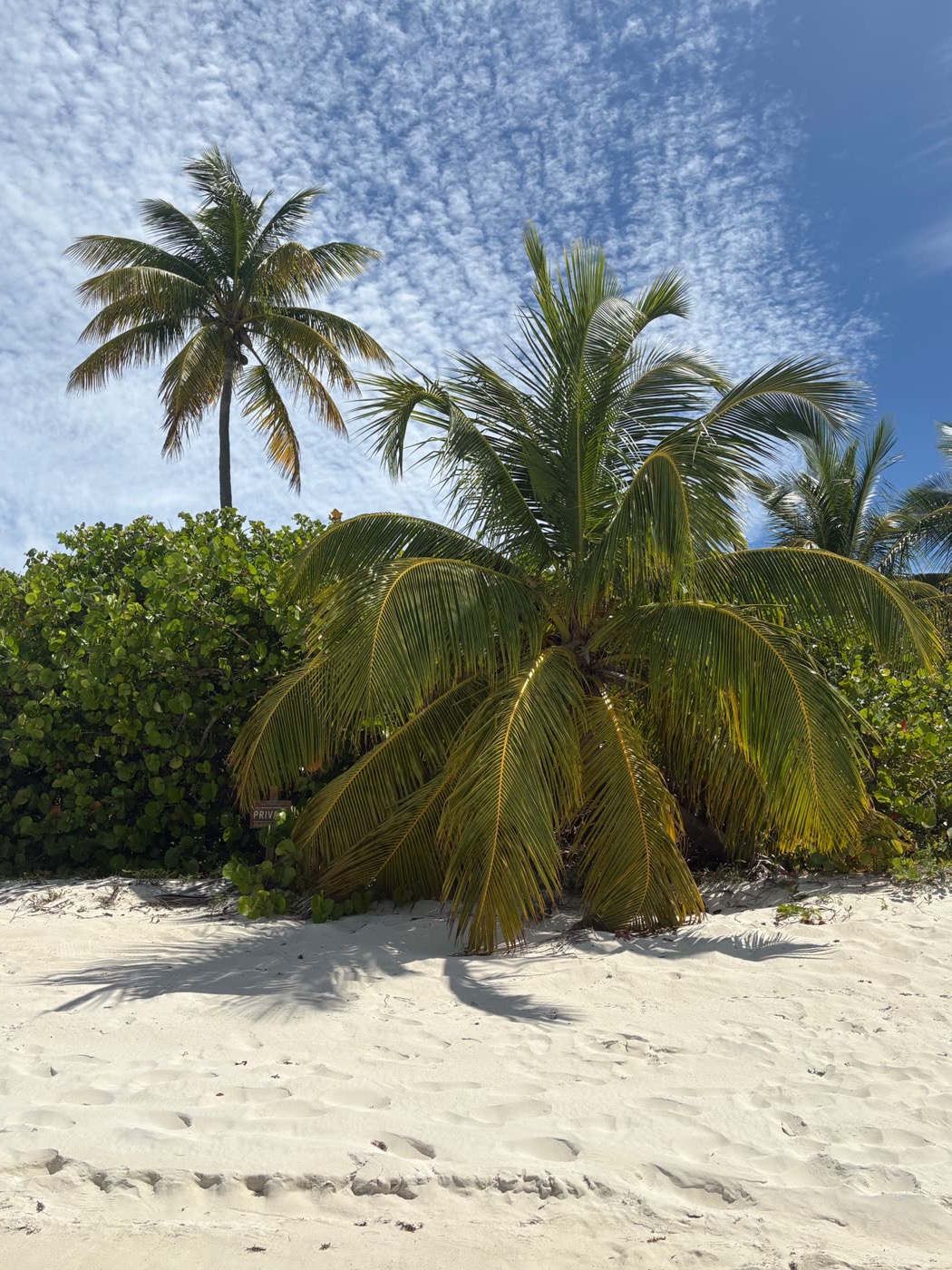 Guana Island